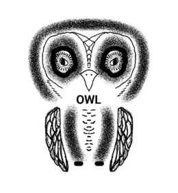 OWL trademark