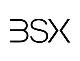 BSX trademark