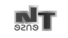 NTENSE trademark