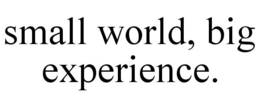SMALL WORLD, BIG EXPERIENCE. trademark