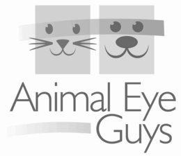 ANIMAL EYE GUYS trademark