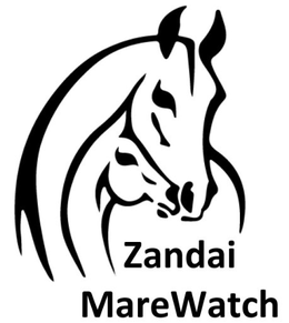 ZANDAI MAREWATCH trademark