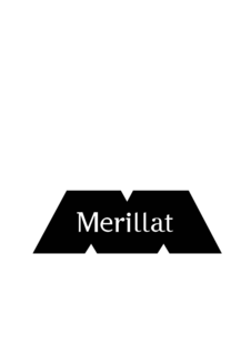 M MERILLAT trademark
