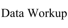 DATA WORKUP trademark