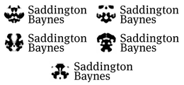 SADDINGTON BAYNES trademark