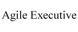 AGILE EXECUTIVE trademark