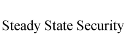 STEADY STATE SECURITY trademark