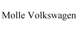 MOLLE VOLKSWAGEN trademark