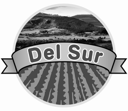 DEL SUR trademark