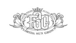 HECHO EN U.S.A FLORIDA SUN GROWN trademark