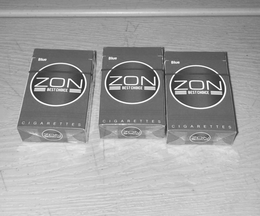 ZON BEST CHOICE trademark