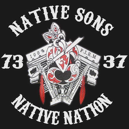 NATIVE SONS NATIVE NATION 73 37 100% FIRM trademark