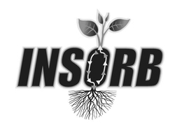 INSORB trademark