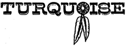 TURQUOISE trademark