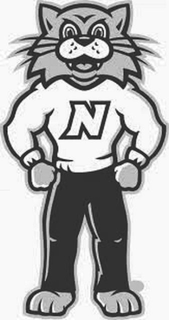 N trademark