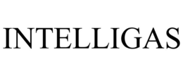 INTELLIGAS trademark