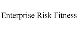 ENTERPRISE RISK FITNESS trademark