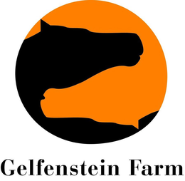 GELFENSTEIN FARM trademark