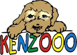 KENZOOO trademark