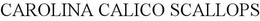 CAROLINA CALICO SCALLOPS trademark