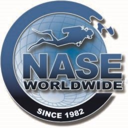 NASE WORLDWIDE SINCE 1982 trademark