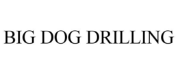 BIG DOG DRILLING trademark