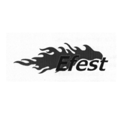 EFEST trademark