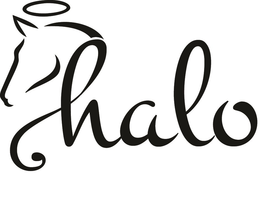 HALO trademark