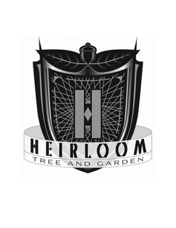 H HEIRLOOM TREE AND GARDEN trademark