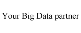 YOUR BIG DATA PARTNER trademark