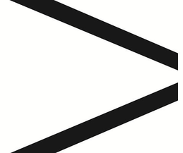 V trademark