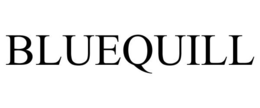 BLUEQUILL trademark