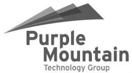 PURPLE MOUNTAIN TECHNOLOGY GROUP trademark