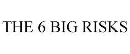 THE 6 BIG RISKS trademark
