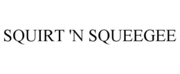 SQUIRT 'N SQUEEGEE trademark
