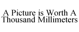 A PICTURE IS WORTH A THOUSAND MILLIMETERS trademark