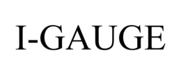 I-GAUGE trademark
