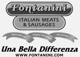FONTANINI ITALIAN MEATS AND SAUSAGES MEATBALLS PIZZA TOPPINGS SAUSAGE UNA BELLA DIFFERENZA WWW.FONTANINI.COM trademark