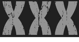 XXX trademark