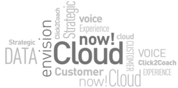 STRATEGIC DATA ENVISION NOW! CLOUD CLOUD CUSTOMER VOICE CLICK2COACH EXPERIENCE CLICK2COACH STRATEGIC VOICE EXPERIENCE CUSTOMER NOW!CLOUD trademark