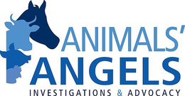ANIMALS' ANGELS INVESTIGATIONS & ADVOCACY trademark
