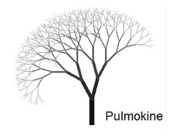PULMOKINE trademark