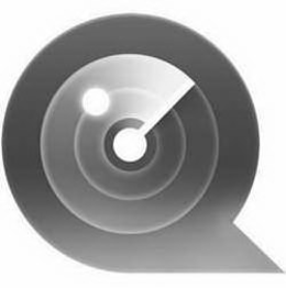 Q trademark