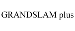 GRANDSLAM PLUS trademark