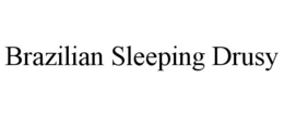 BRAZILIAN SLEEPING DRUSY trademark