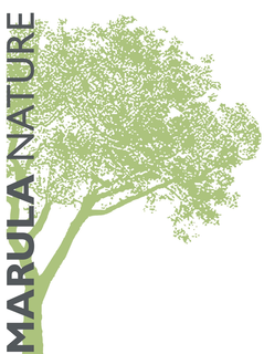 MARULA NATURE trademark