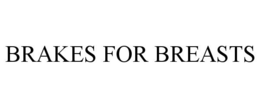 BRAKES FOR BREASTS trademark