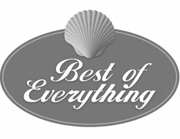 BEST OF EVERYTHING trademark
