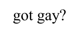 GOT GAY? trademark
