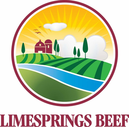 LIMESPRINGS BEEF trademark